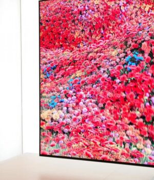 Прихована-функція-телевізора-псує-фільми:-як-вимкнути-ефект-“мильної-опери”