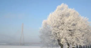 Синоптики прогнозують морозну погоду та сніг 11 лютого Синоптики прогнозують морозну погоду та сніг 11 лютого