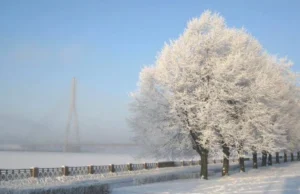 Синоптики прогнозують морозну погоду та сніг 11 лютого Синоптики прогнозують морозну погоду та сніг 11 лютого