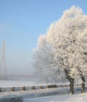 Синоптики прогнозують морозну погоду та сніг 11 лютого
