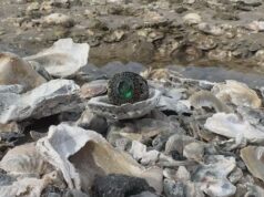 Загублений перстень знайшли через 44 роки на пляжі після семи ураганів і п’яти штормів — фото Загублений-перстень-знайшли-через-44 роки-на пляжі-після-семи-ураганів-і п’яти-штормів —-фото