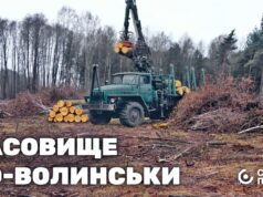 Як волинська громада роздає ліс під виглядом пасовища зацікавленим бізнесменам Як-волинська-громада-роздає-ліс-під-виглядом-пасовища-зацікавленим-бізнесменам