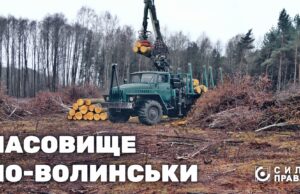 Як волинська громада роздає ліс під виглядом пасовища зацікавленим бізнесменам Як-волинська-громада-роздає-ліс-під-виглядом-пасовища-зацікавленим-бізнесменам