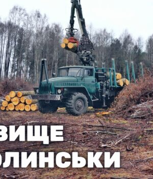 Як-волинська-громада-роздає-ліс-під-виглядом-пасовища-зацікавленим-бізнесменам