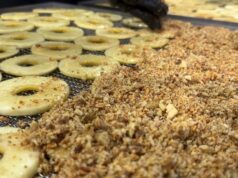 Поки отримали грант, все обладнання згоріло: подружжя волинян виготовляє фріпси і пастилу Поки-отримали-грант,-все-обладнання-згоріло:-подружжя-волинян-виготовляє-фріпси-і-пастилу