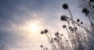 Краса серед пекла: український військовий показав неймовірні кадри з фронту Краса-серед-пекла:-український-військовий-показав-неймовірні-кадри-з-фронту