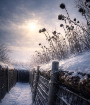 Краса-серед-пекла:-український-військовий-показав-неймовірні-кадри-з-фронту