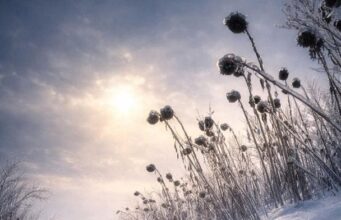 Краса серед пекла: український військовий показав неймовірні кадри з фронту Краса-серед-пекла:-український-військовий-показав-неймовірні-кадри-з-фронту