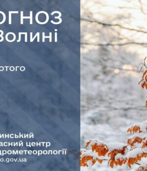Якою-буде-погода-у-Луцьку-та-на-Волині-у-четвер,-12-лютого