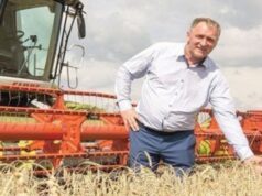 12 лютого на Волині: гортаючи календар 12-лютого-на-Волині:-гортаючи-календар