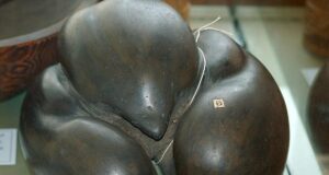 Важить до 30 кг і має діаметр півметра: яке найбільше насіння на планеті Важить-до-30-кг-і-має-діаметр-півметра:-яке-найбільше-насіння-на-планеті