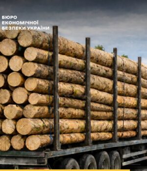 На-Волині-судитимуть-директора-підприємства,-який-незаконно-вивіз-за-кордон-лісоматеріали