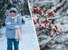 Всі свята 12 лютого: які події згадуємо і що не можна розповідати рідним Всі-свята-12-лютого:-які-події-згадуємо-і-що-не-можна-розповідати-рідним