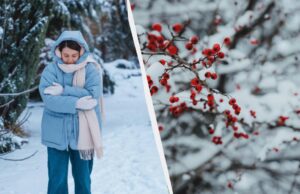 Всі свята 12 лютого: які події згадуємо і що не можна розповідати рідним Всі-свята-12-лютого:-які-події-згадуємо-і-що-не-можна-розповідати-рідним