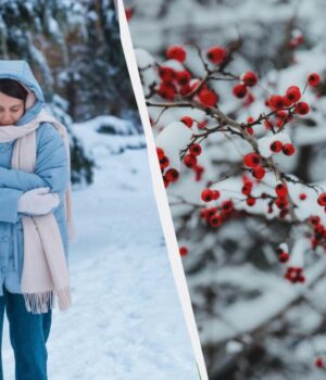 Всі-свята-12-лютого:-які-події-згадуємо-і-що-не-можна-розповідати-рідним