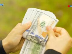 Аграрна афера на Волині: соняшникове насіння вивезли, а гроші перевели в крипту Аграрна-афера-на-Волині:-соняшникове-насіння-вивезли,-а-гроші-перевели-в-крипту