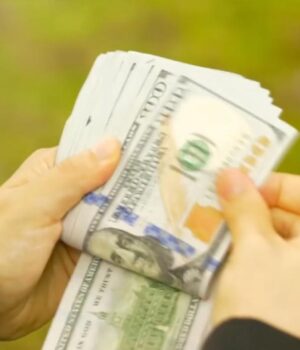 Аграрна-афера-на-Волині:-соняшникове-насіння-вивезли,-а-гроші-перевели-в-крипту