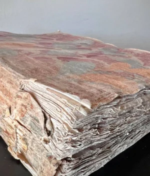 Митники-передали-до-найстарішої-бібліотеки-України-латиномовну-книгу-xviii-століття