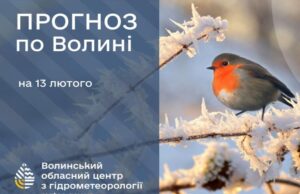 Якою буде погода у Луцьку та на Волині у п’ятницю, 13 лютого Якою-буде-погода-у-Луцьку-та-на-Волині-у-п’ятницю,-13-лютого