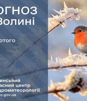 Якою-буде-погода-у-Луцьку-та-на-Волині-у-п’ятницю,-13-лютого