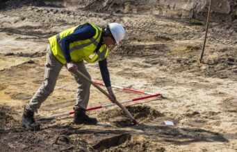 На Тайвані мешкали гігантські пітони: вчені з’ясували причину їх зникнення На-Тайвані-мешкали-гігантські-пітони:-вчені-з’ясували-причину-їх-зникнення