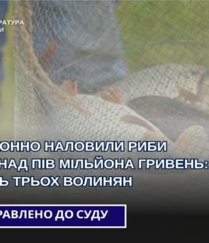 Троє-волинян-«наловили»-риби-на-пів-мільйона-гривень