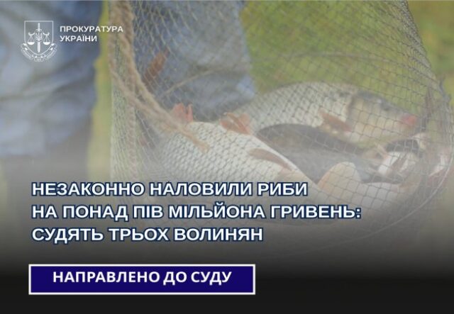 Троє волинян «наловили» риби на пів мільйона гривень Троє-волинян-«наловили»-риби-на-пів-мільйона-гривень
