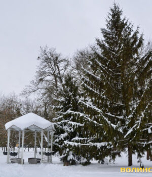 Волинські-синоптики-прогнозують-повернення-морозів-і-снігопадів