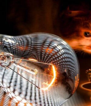 Графіки-вимкнення-електроенергії-на-Волині-14-лютого