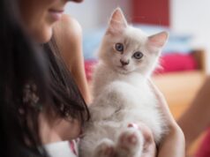 Як коти “розмовляють” зі своїми господарями: ветеринари розповіли про 7 кумедних способів Як-коти-“розмовляють”-зі-своїми-господарями:-ветеринари-розповіли-про-7-кумедних-способів