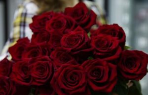 У скільки обійдеться букет до Дня закоханих: ціни на квіти у Луцьку У-скільки-обійдеться-букет-до-Дня-закоханих:-ціни-на-квіти-у-Луцьку