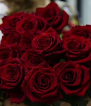 У-скільки-обійдеться-букет-до-Дня-закоханих:-ціни-на-квіти-у-Луцьку