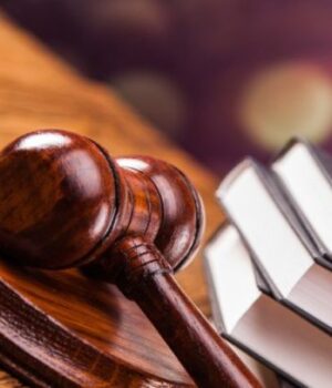 Мертві-бджоли-не-гудуть:-у-Луцьку-жінка-судиться-з-аграрієм-через-отруєння-комах