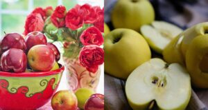 Які яблука корисні для травлення та рівня цукру: експерти назвали 6 найкращих сортів Які-яблука-корисні-для-травлення-та-рівня-цукру:-експерти-назвали-6-найкращих-сортів