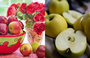 Які яблука корисні для травлення та рівня цукру: експерти назвали 6 найкращих сортів Які-яблука-корисні-для-травлення-та-рівня-цукру:-експерти-назвали-6-найкращих-сортів