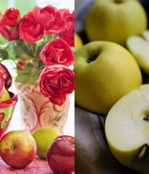 Які-яблука-корисні-для-травлення-та-рівня-цукру:-експерти-назвали-6-найкращих-сортів