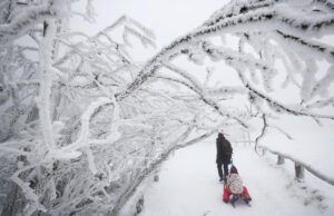 Негода насувається: Укргідрометцентр попереджає про снігопади, сильний вітер та морози Негода-насувається:-Укргідрометцентр-попереджає-про-снігопади,-сильний-вітер-та-морози