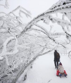 Негода-насувається:-Укргідрометцентр-попереджає-про-снігопади,-сильний-вітер-та-морози Негода-насувається:-Укргідрометцентр-попереджає-про-снігопади,-сильний-вітер-та-морози