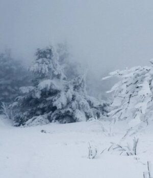 Морози-повертаються:-якою-буде-погода-на-Волині-на-вихідні