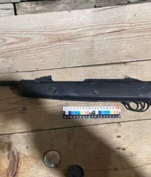 На-Волині-неповнолітня-вистрелила-собі-в-ногу-з-рушниці На-Волині-неповнолітня-вистрелила-собі-в-ногу-з-рушниці