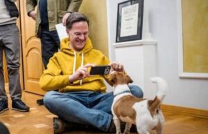 “Ми ніколи не здамося”: Рютте зворушливо розповів про зустріч з псом Патроном “Ми-ніколи-не-здамося”:-Рютте-зворушливо-розповів-про-зустріч-з-псом-Патроном