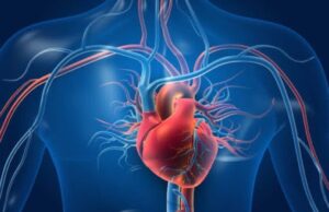 Коли турбота про серце стає звичною частиною дня Коли-турбота-про-серце-стає-звичною-частиною-дня