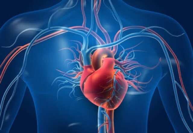 Коли турбота про серце стає звичною частиною дня Коли-турбота-про-серце-стає-звичною-частиною-дня