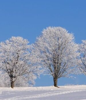 Якою-буде-погода-у-Луцьку-та-на-Волині-у-неділю,-15-лютого