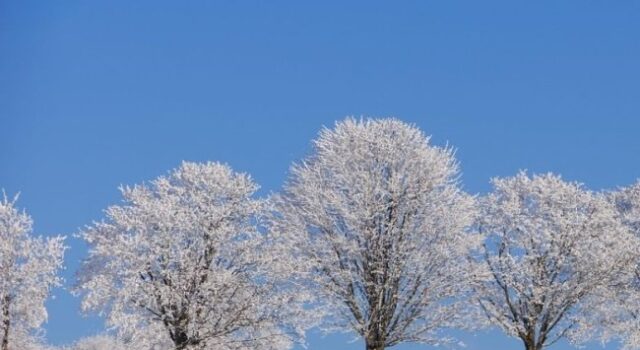 Якою буде погода у Луцьку та на Волині у неділю, 15 лютого Якою-буде-погода-у-Луцьку-та-на-Волині-у-неділю,-15-лютого