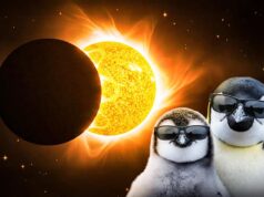 Сонячне затемнення і молодик у лютому: кому чекати великих змін – поради астролога Сонячне-затемнення-і-молодик-у-лютому:-кому-чекати-великих-змін-–-поради-астролога