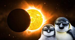 Сонячне затемнення і молодик у лютому: кому чекати великих змін – поради астролога Сонячне-затемнення-і-молодик-у-лютому:-кому-чекати-великих-змін-–-поради-астролога