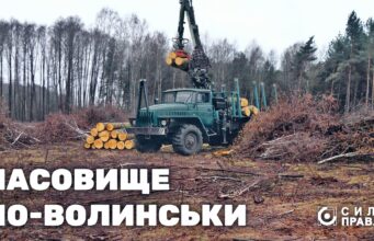 Як волинська громада роздає ліс під виглядом пасовища зацікавленим бізнесменам Як-волинська-громада-роздає-ліс-під-виглядом-пасовища-зацікавленим-бізнесменам
