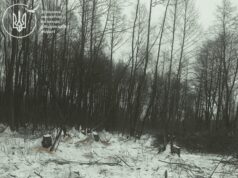 На Волині виявили незаконну вирубку дерев на майже 2 мільйони гривень На-Волині-виявили-незаконну-вирубку-дерев-на-майже-2-мільйони-гривень
