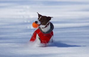 Антициклон Felix змінить погоду в Україні: синоптикиня Діденко розкрила деталі Антициклон-felix-змінить-погоду-в-Україні:-синоптикиня-Діденко-розкрила-деталі
